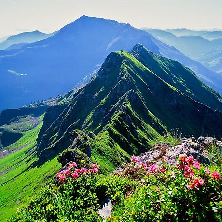 Landhaus Alpbach Ngoại thất bức ảnh