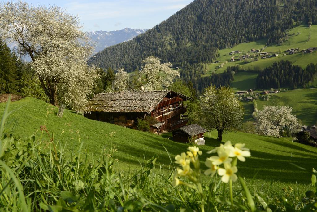 Landhaus Alpbach Ngoại thất bức ảnh