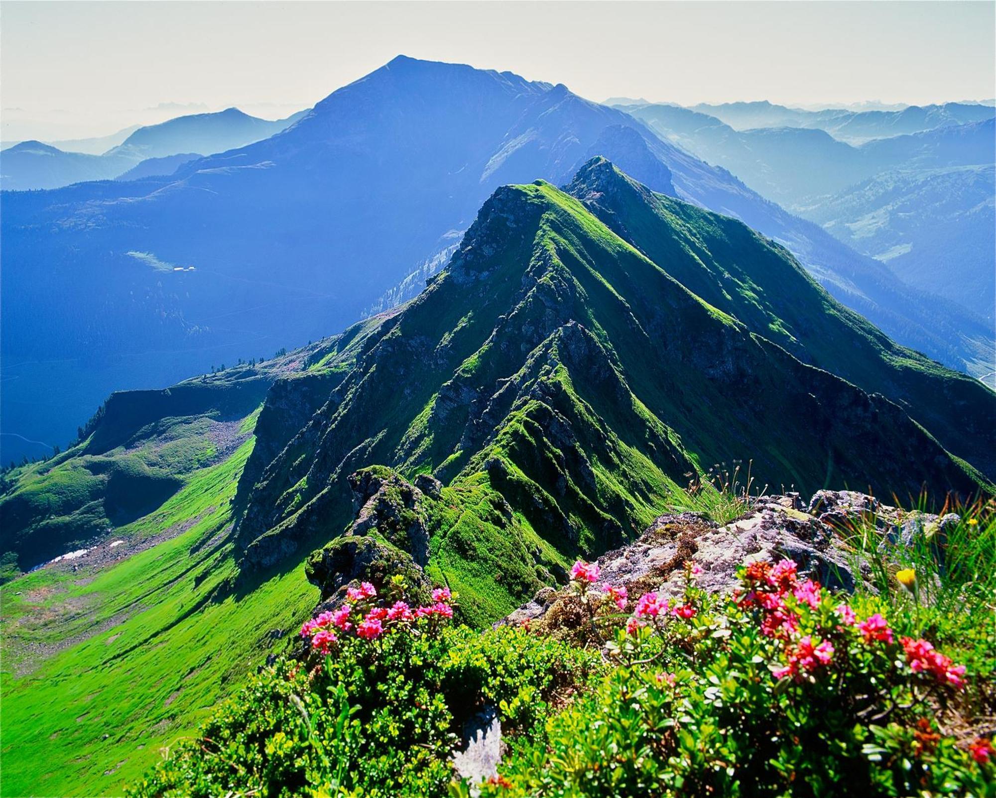 Landhaus Alpbach Ngoại thất bức ảnh